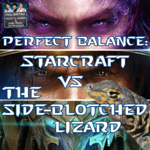 Read more about the article Ep. 121 Perfect Balance: StarCraft VS The Side-Blotched Lizard