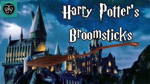 Read more about the article Ep. 16 Harry Potter’s Broomstick