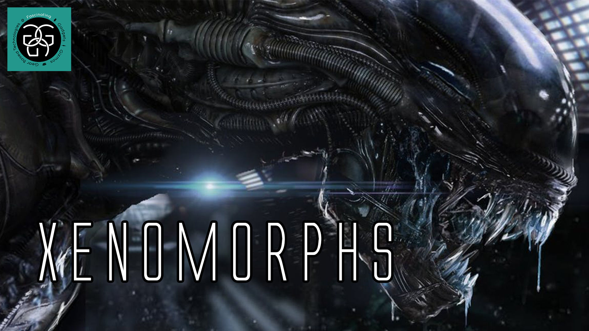 Read more about the article Ep. 26 Xenomorphs